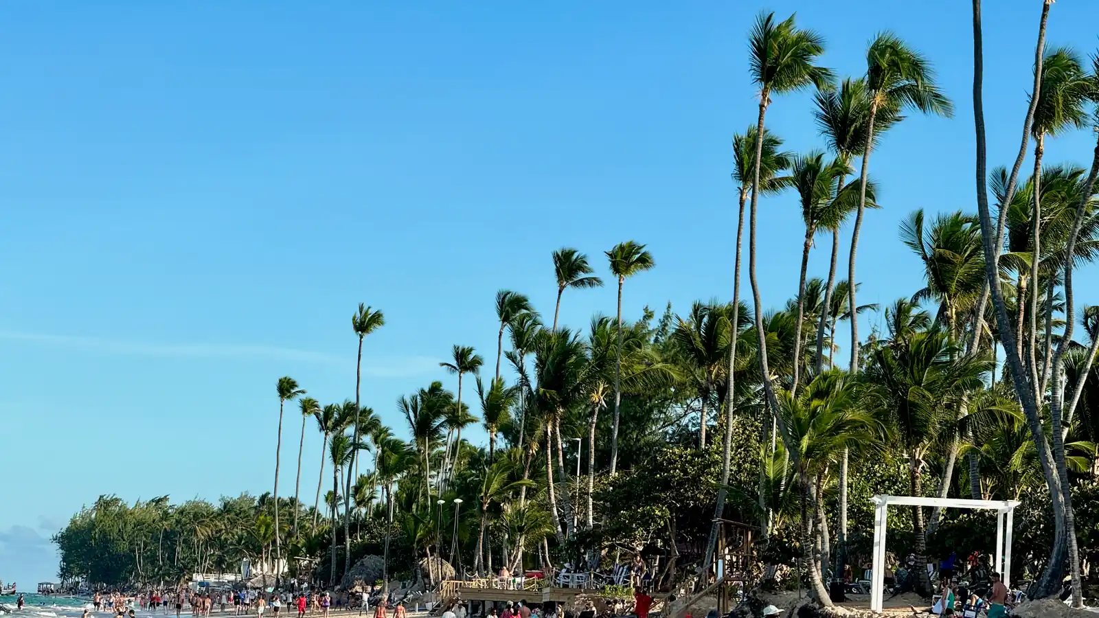 Playa Bávaro llena de gente al atardecer: cocoteros altos inclinados sobre la arena y bañistas en la rompiente.
